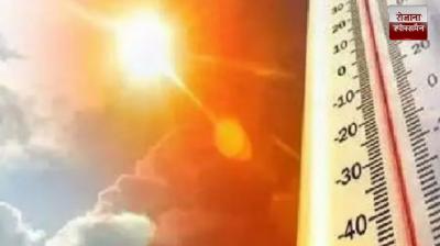 Changing weather in Punjab news in hindi