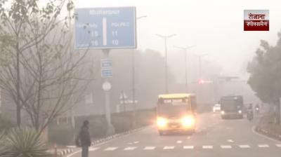 Dense fog and severe cold grip Punjab