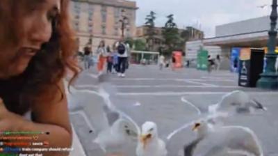 Birds Attack on Woman while she going live on social media and having sandwich know full news in hindi 