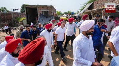 Rahul Gandhi reached Gurdaspur on a tractor news in hindi