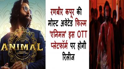 Animal OTT Release 