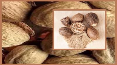 You will get many health benefits by consuming nutmeg news in hindi