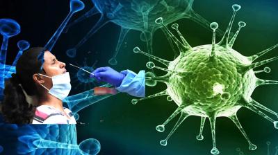 Cases of XBB 1.5 variant of corona virus increased in India, total number...