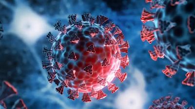 The total number of COVID-19 cases in India rises to 1,009 news In hindi