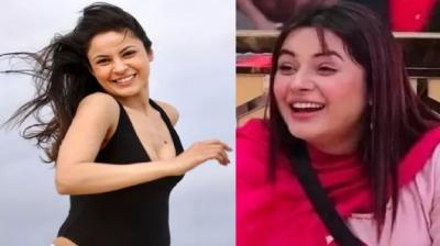 How Shehnaaz Gill lost 12 kilos in 6 months news in hindi 