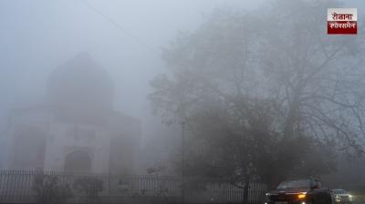 Intense cold wave grips Punjab and Chandigarh