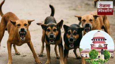  We Will Consider Imposing Heavy Compensation For Every Dogbite And Death Payable By State And Dog Feeders: SC