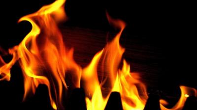 Delhi Shahdara Fire Two people died News In Hindi