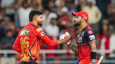 IPL Qualifer 1, PBKS vs RCB Today Mullanpur Pitch Report News In Hindi 