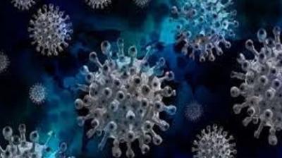 corona virus Case Update News In Hindi