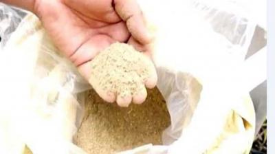 Rajasthan: Police caught more than 41 quintals of stolen poppy(सांकेतिक फोटो)