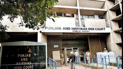 Punjab and Haryana High Court orders Punjab government to present election program by October 14