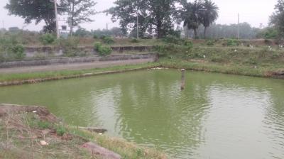 Giddheshwar Shivganga is in a bad state, renovation has not been done for many decades news in hindi