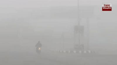 Intense cold sweeps Punjab,Chandigarh and Haryana, dense fog reduces visibility at many places 