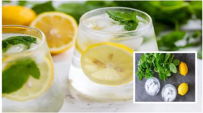Drinking lemon and mint in summer, many health benefits news