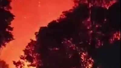  fire broke out in the forests of Shimla, Solan and Mandi in Himachal news in hindi 