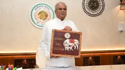 Chhattisgarh budget announces monthly allowance of Rs 2,500 to unemployed youth